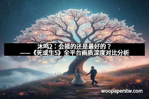沐鸣2：会摇的还是最好的？——《死或生5》全平台画质深度对比分析